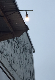 �_������